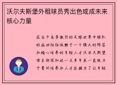 沃尔夫斯堡外租球员秀出色或成未来核心力量