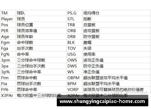 NBA球员合同：全面解析薪资、条款和选项